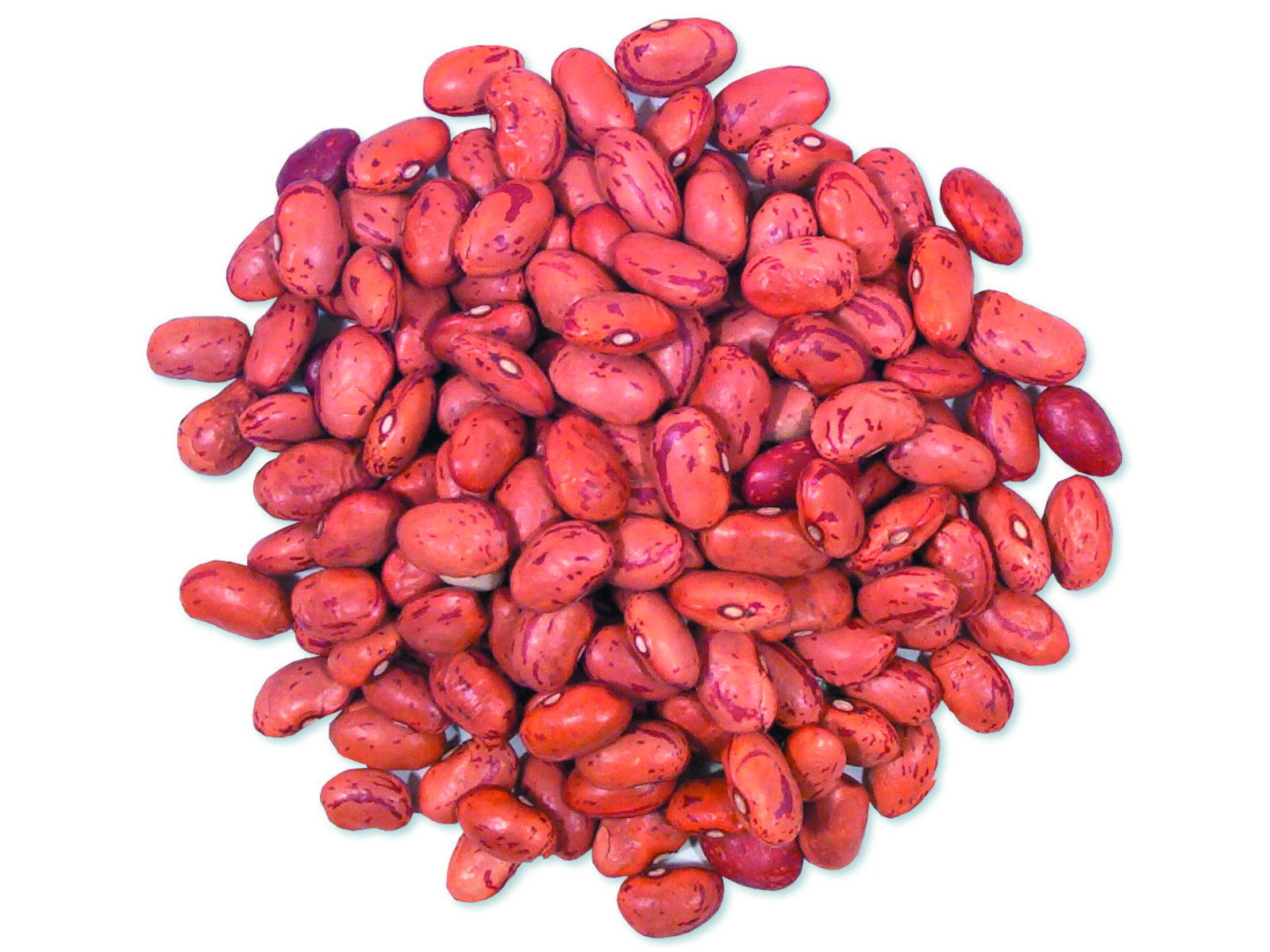 Cranberry Beans
