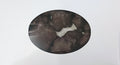 Asher Dark Chocolate Caramel Cashew Patties 10.6 oz Gift Box