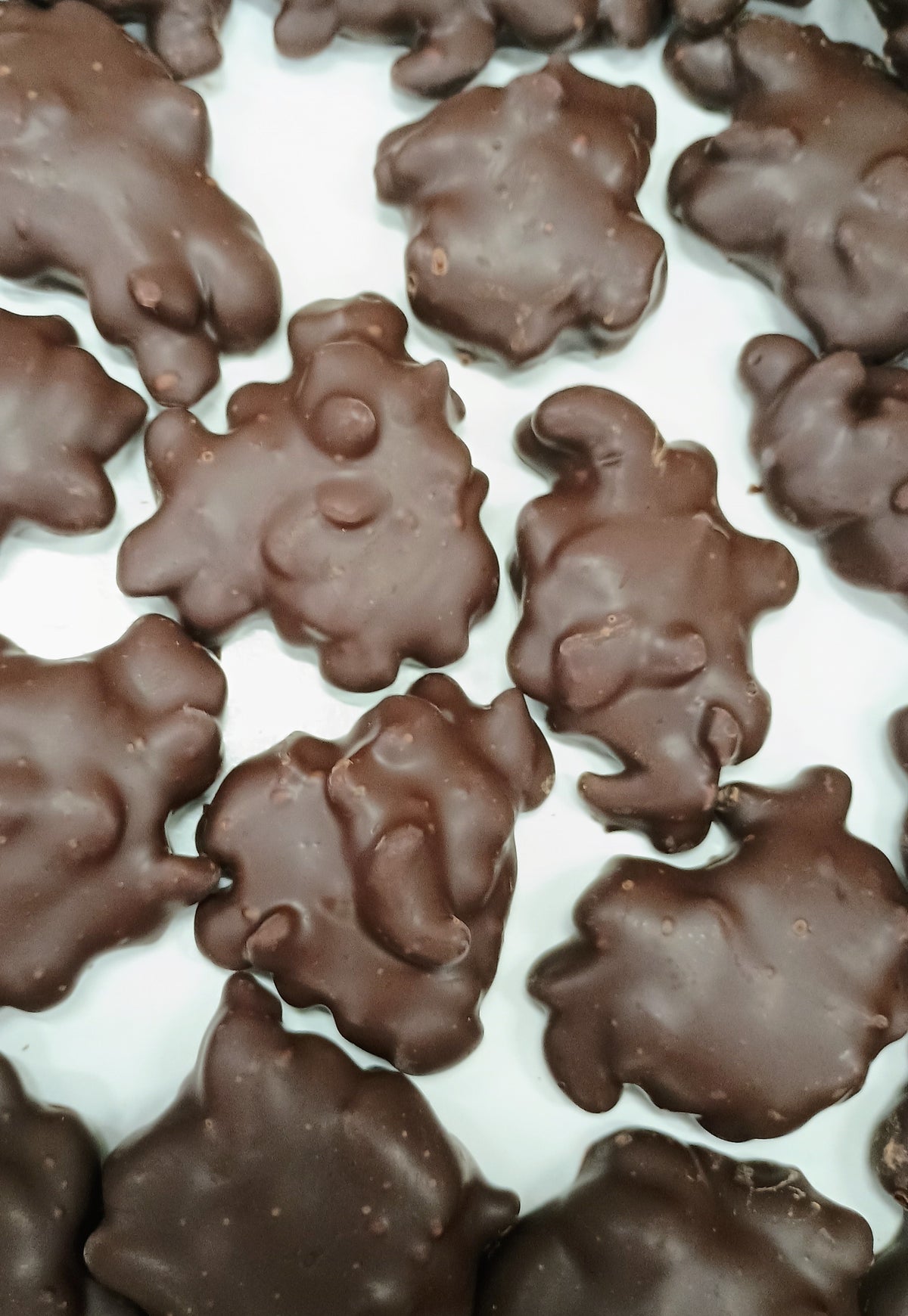 Asher Dark Chocolate Caramel Cashew Patties 10.6 oz Gift Box