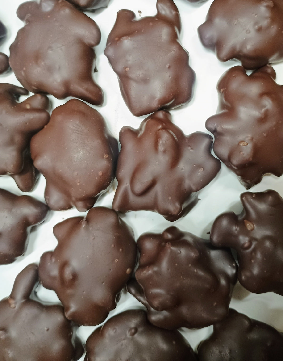 Asher Dark Chocolate Caramel Pecan Patties 10.9 oz Gift Box