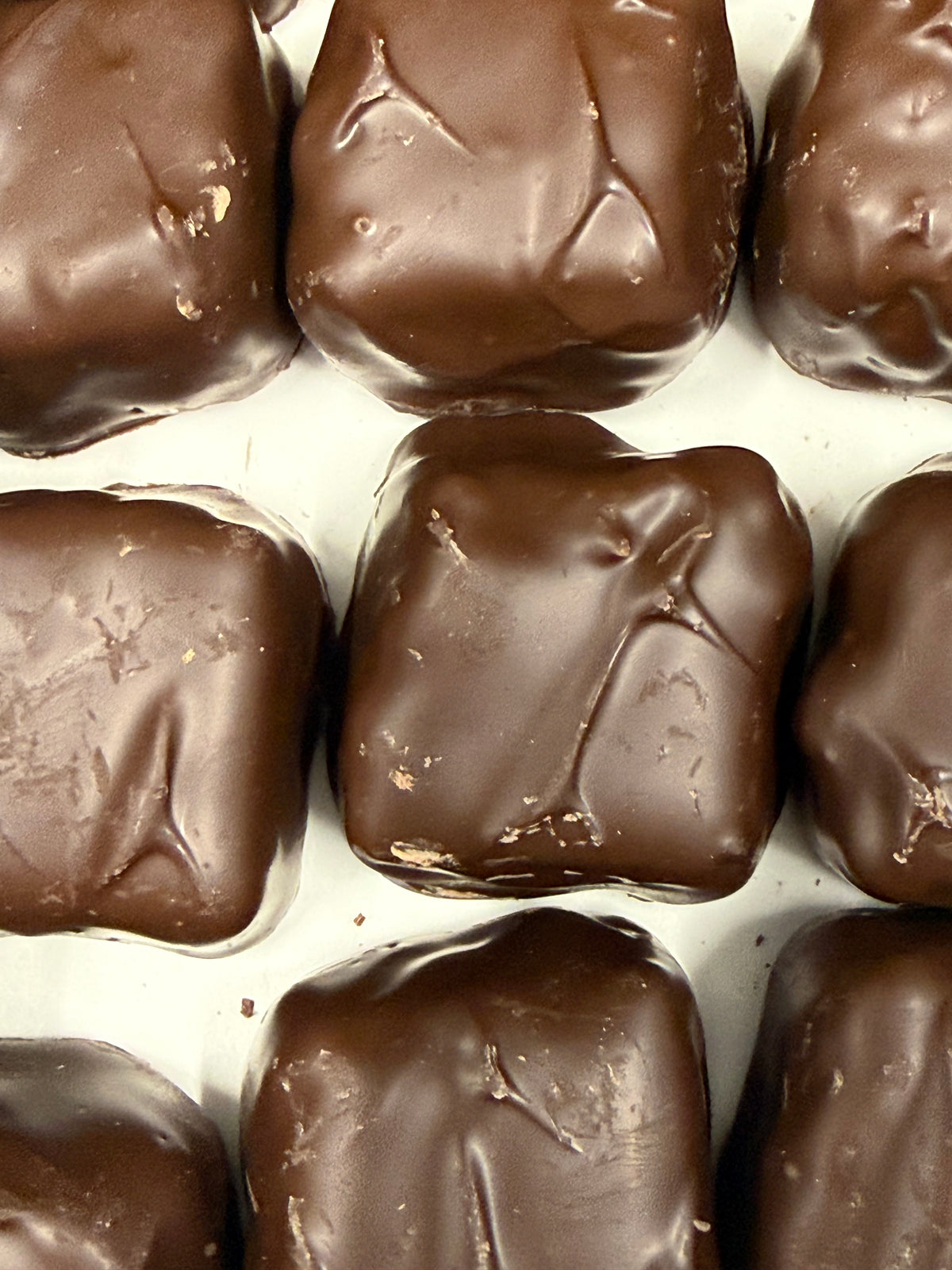 Asher Dark Chocolate Coconut Cream 9.7 oz Gift Box