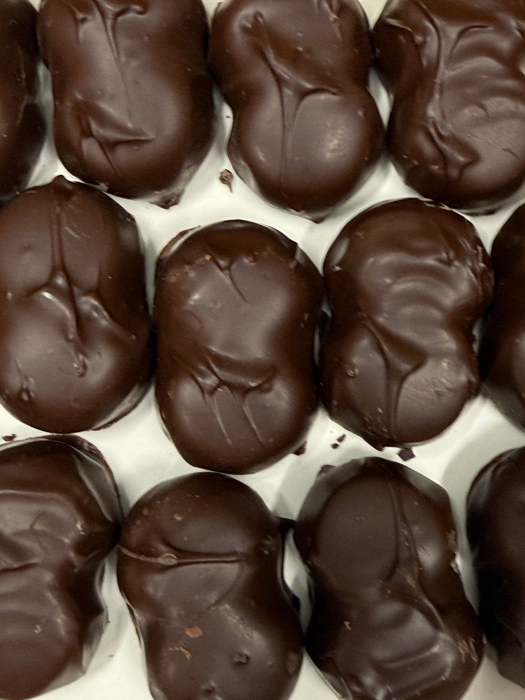 Asher Dark Chocolate Orange Cream 8.3 oz Gift Box