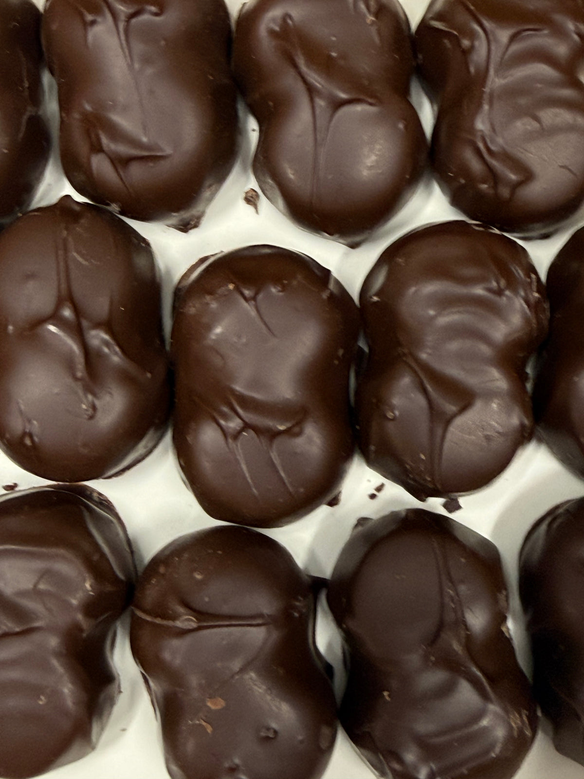 Asher Dark Chocolate Orange Cream 8.3 oz Gift Box