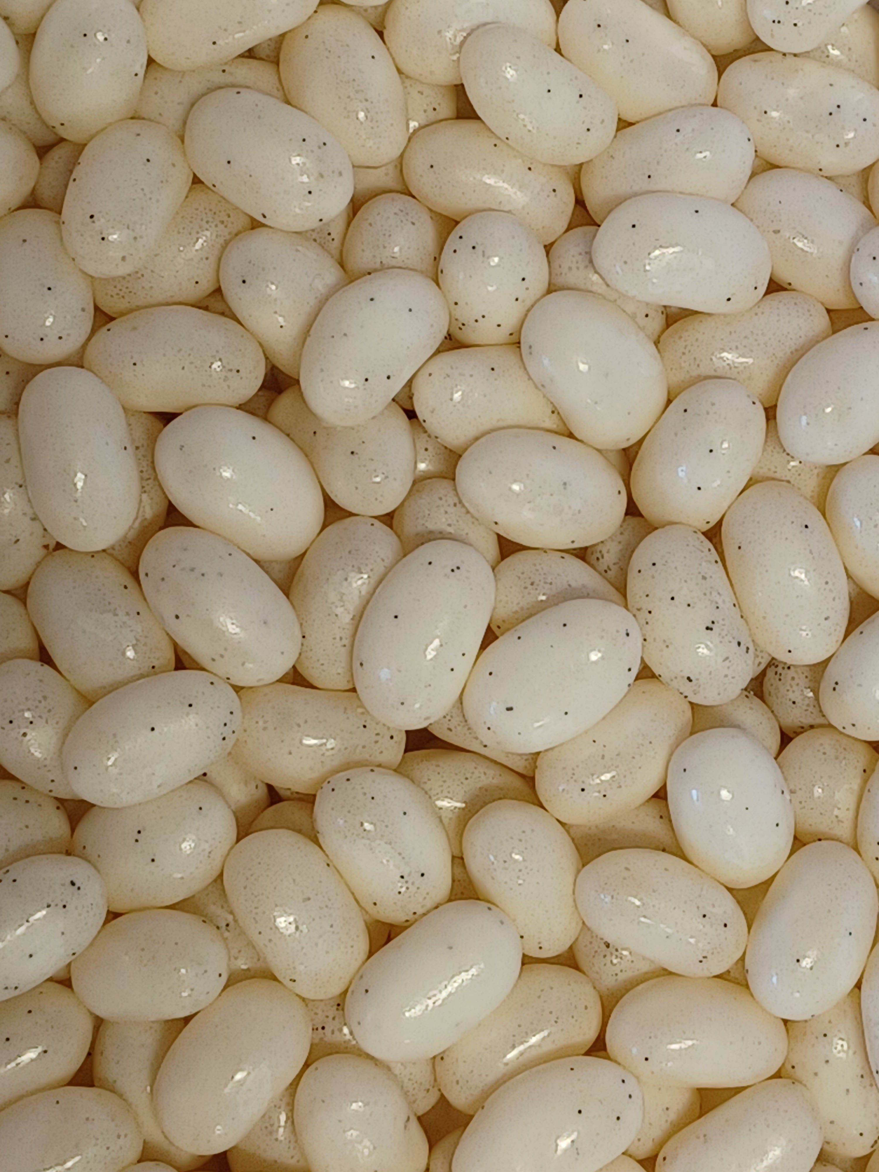 Jelly Belly French Vanilla Jelly Beans