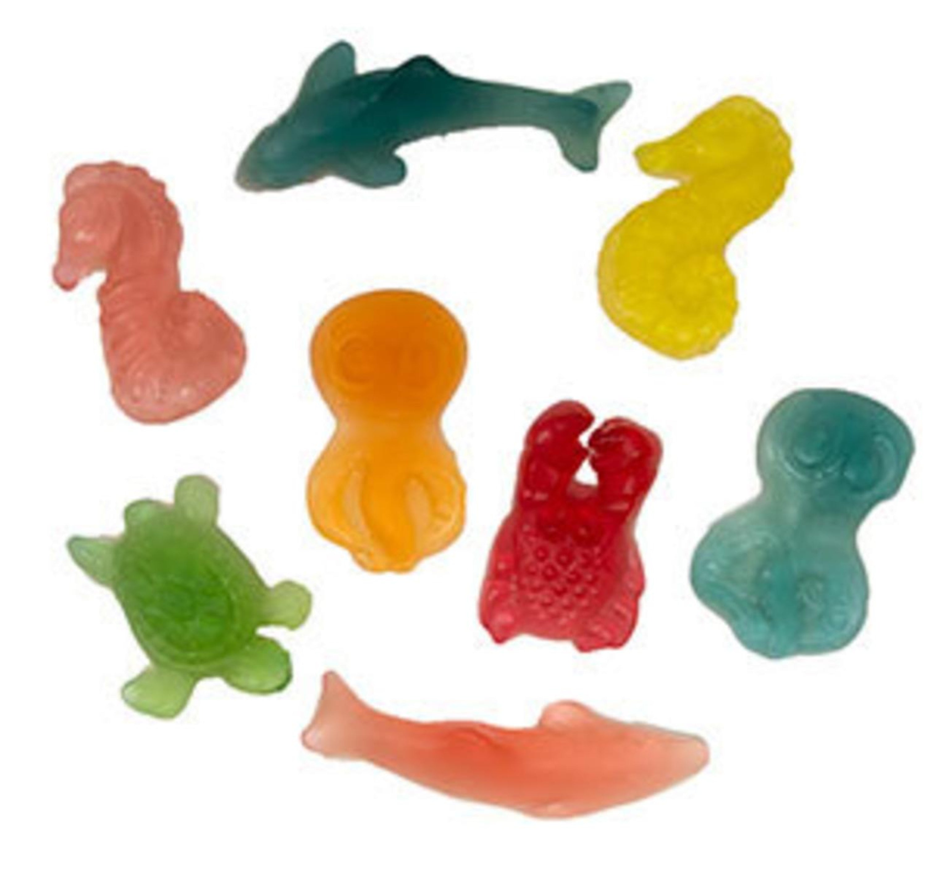 Gummi Ocean Creatures