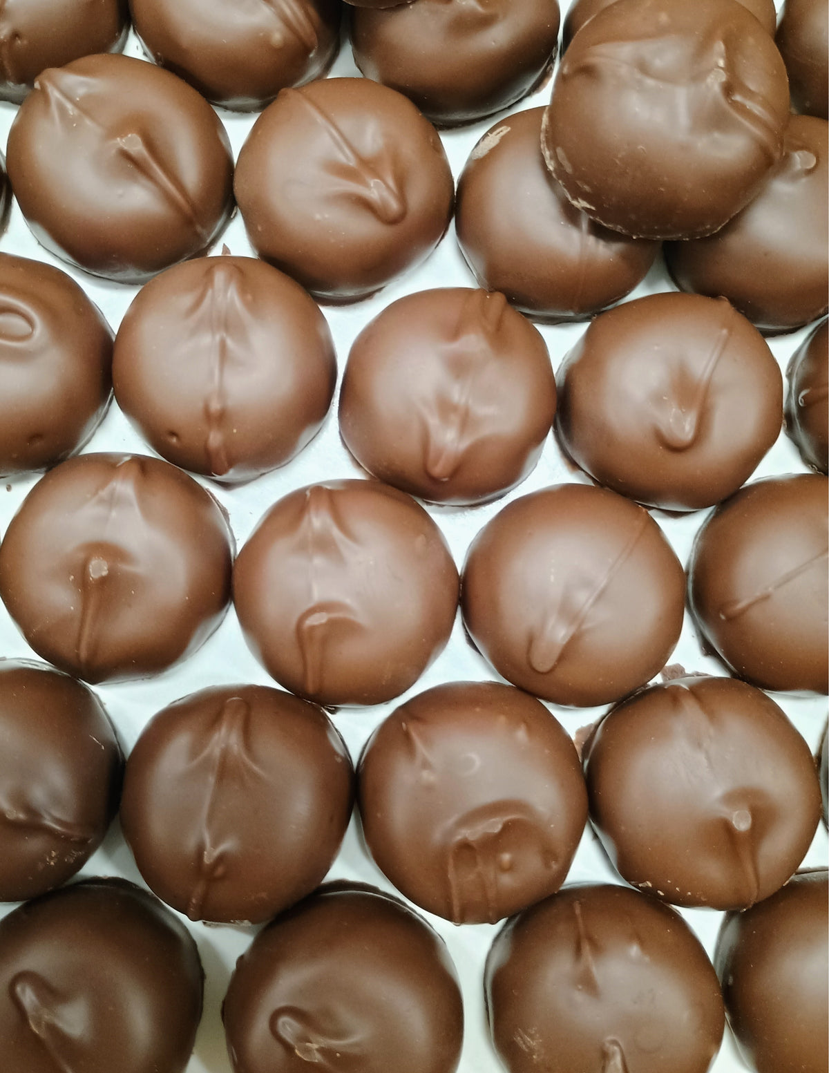 Asher Milk Chocolate Caramel Marshmallow 8 oz Gift Box