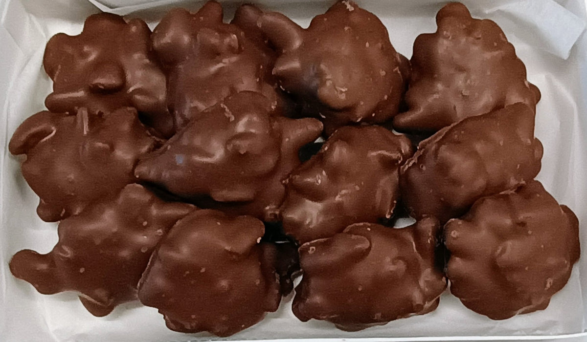 Asher Milk Chocolate Caramel Pecan Patties 10.9 oz Gift Box