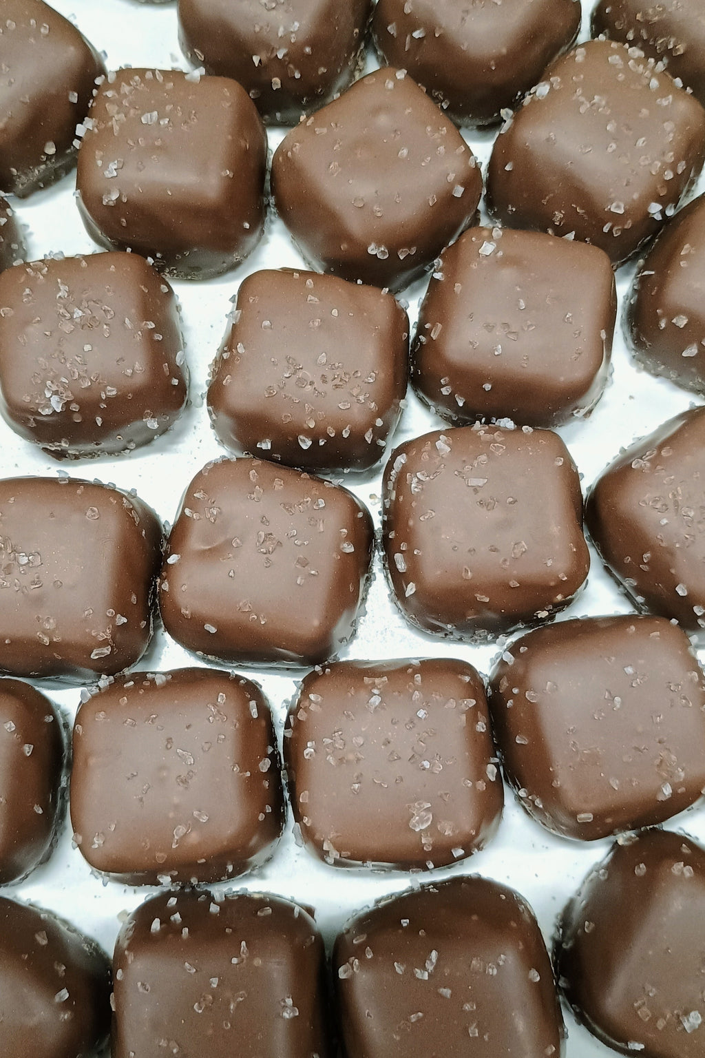 Asher Milk Chocolate Caramel Sea Salt 10.2 oz Gift Box