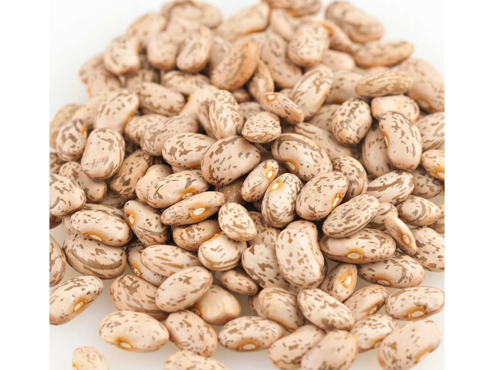 Organic Pinto Beans
