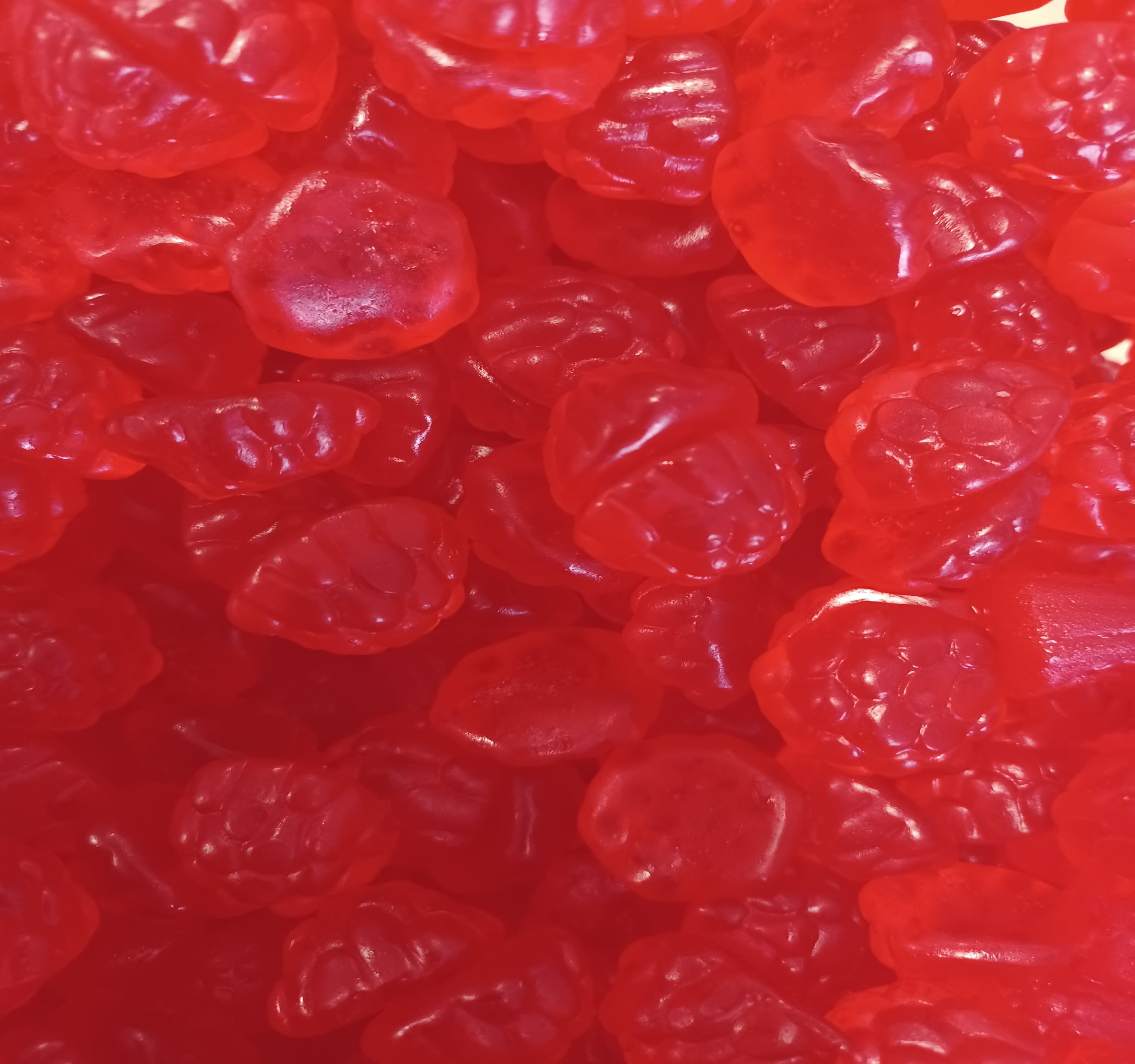 Albanese Gummi Red Ripe Raspberries