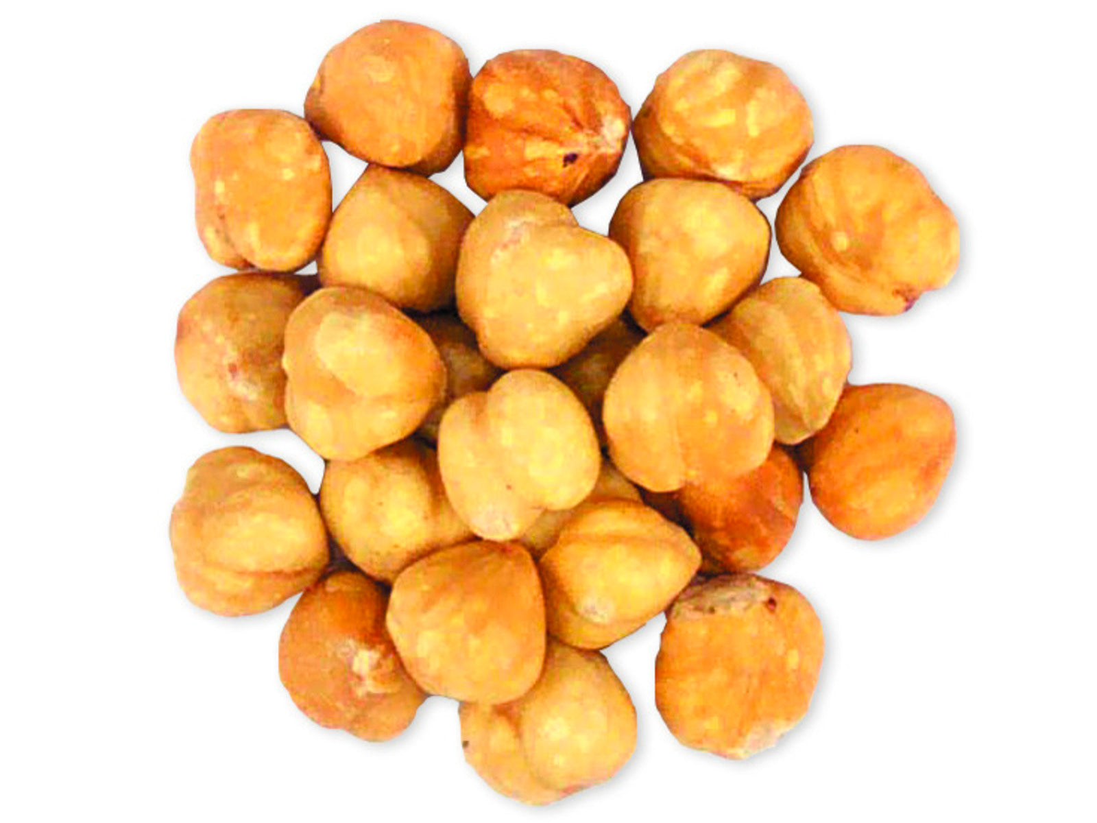 Roasted & Salted Blanched Filberts