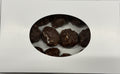 Asher Sugar Free Milk Chocolate Cashew Clusters 6.7 oz Gift Box