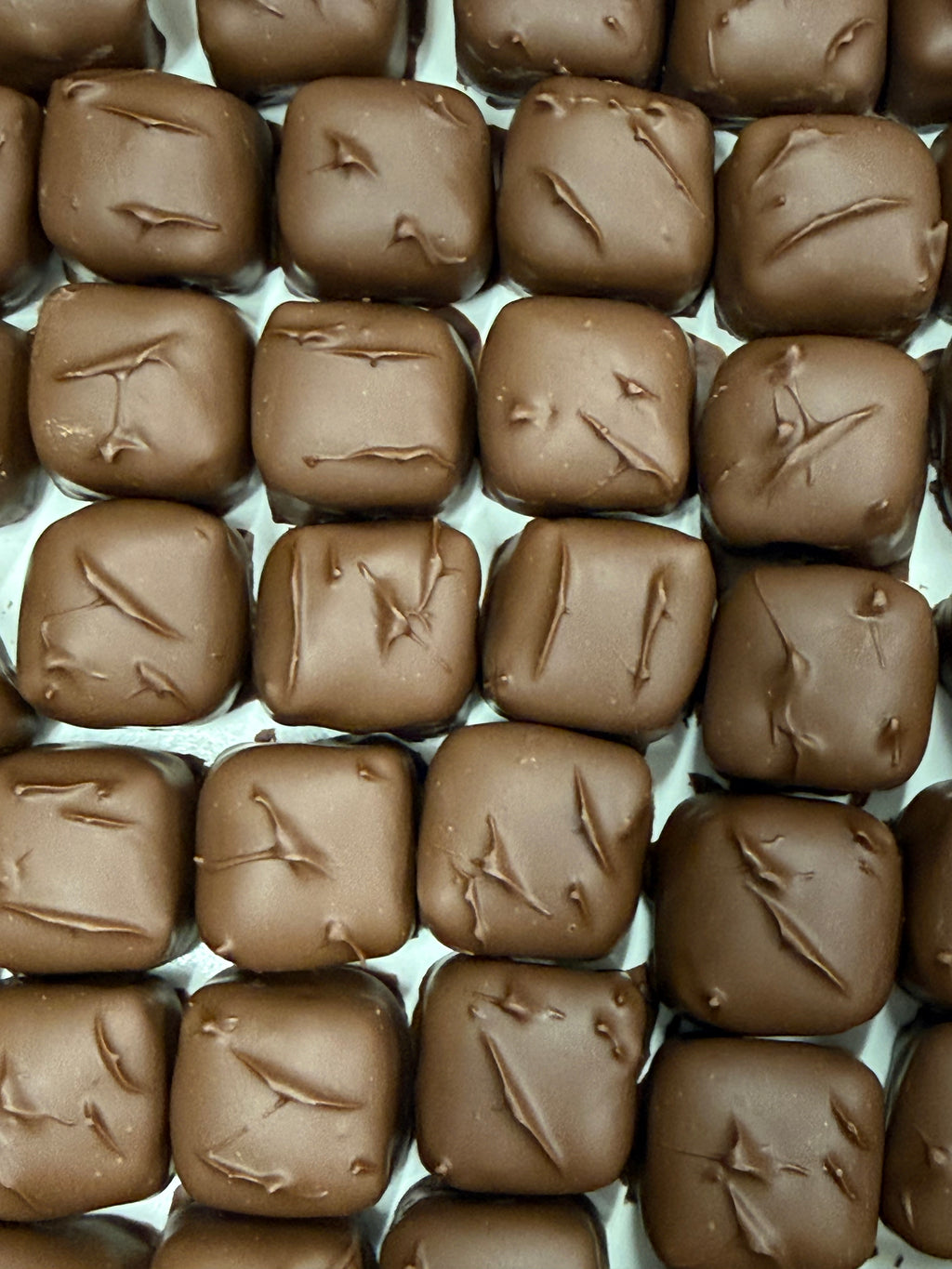 Asher Sugar Free Milk Chocolate Coconut Royale Cream 10.8 oz Gift Box