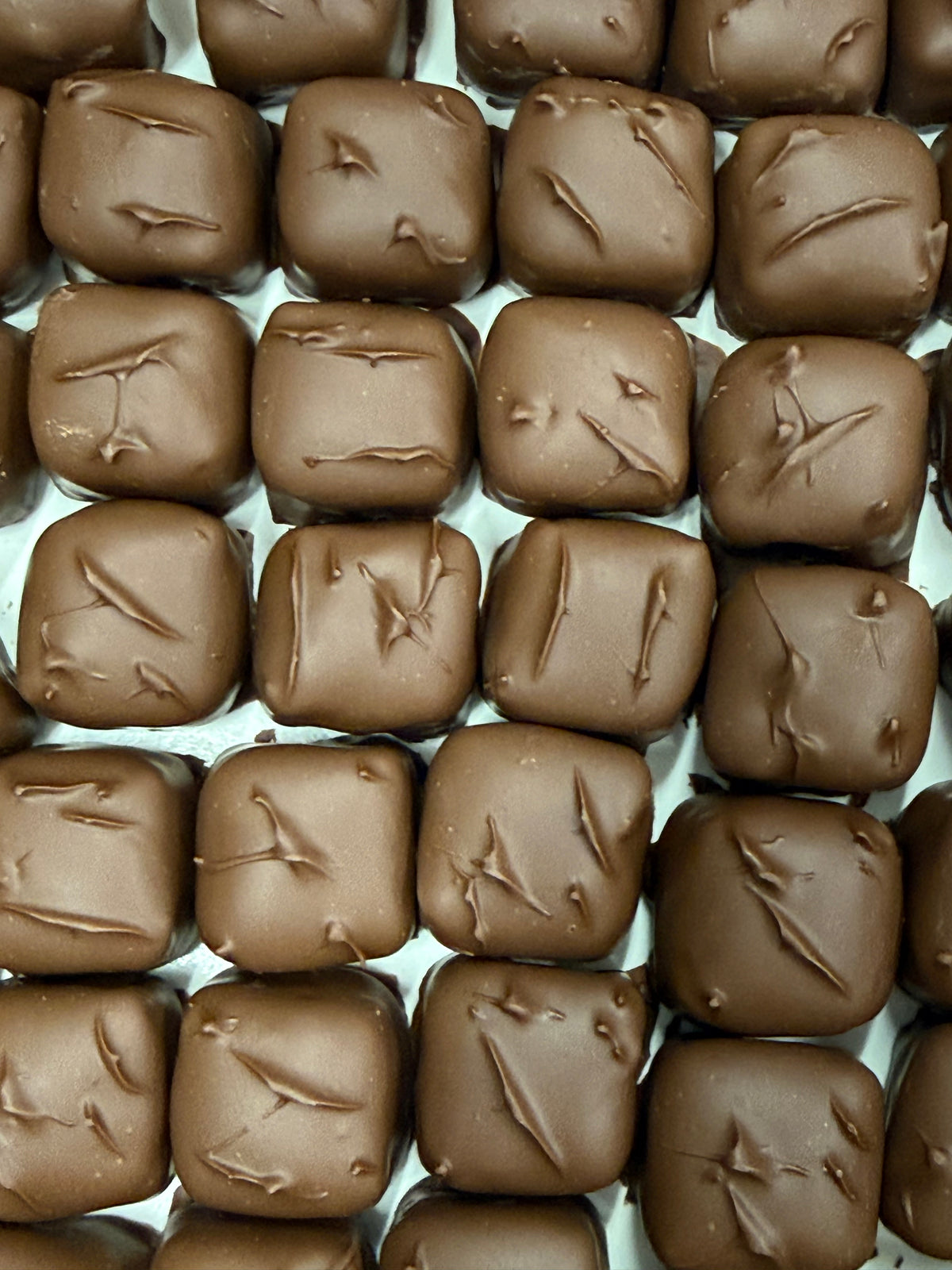 Asher Sugar Free Milk Chocolate Coconut Royale Cream 10.8 oz Gift Box