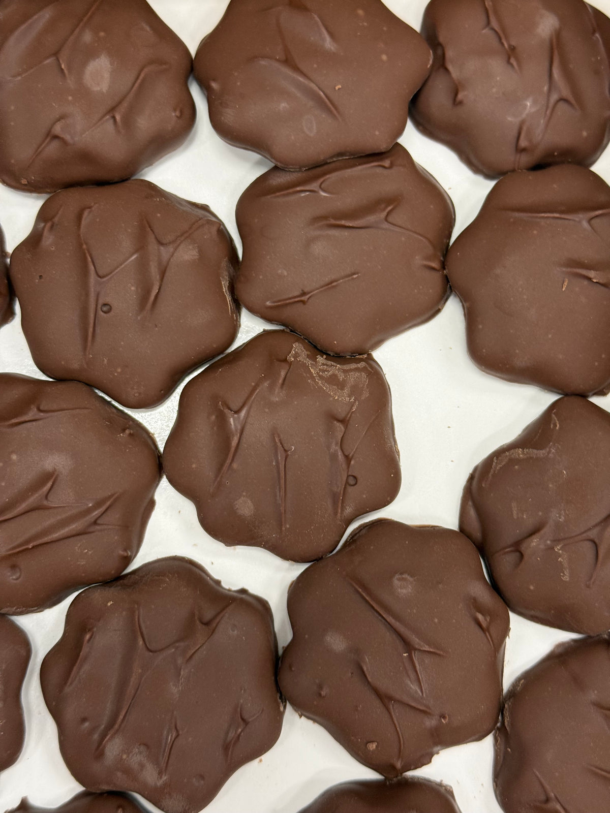 Asher Sugar Free Milk Chocolate Caramel Pecan Pattie 8 oz Gift Box