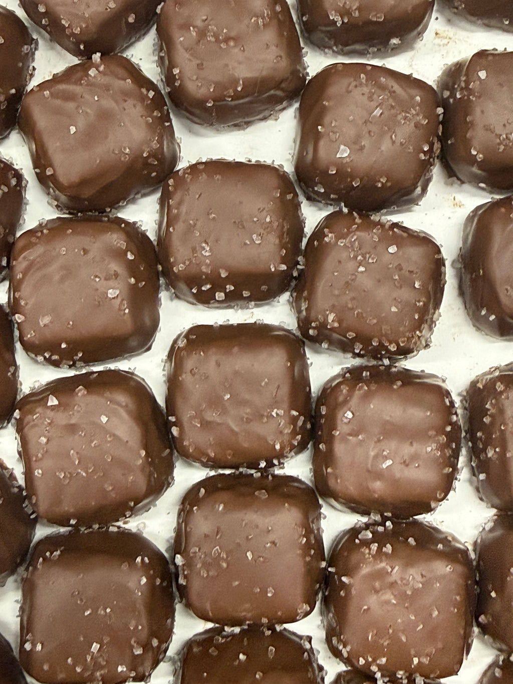 Asher Sugar Free Milk Chocolate Vanilla Caramels with Sea Salt 10 oz Gift Box