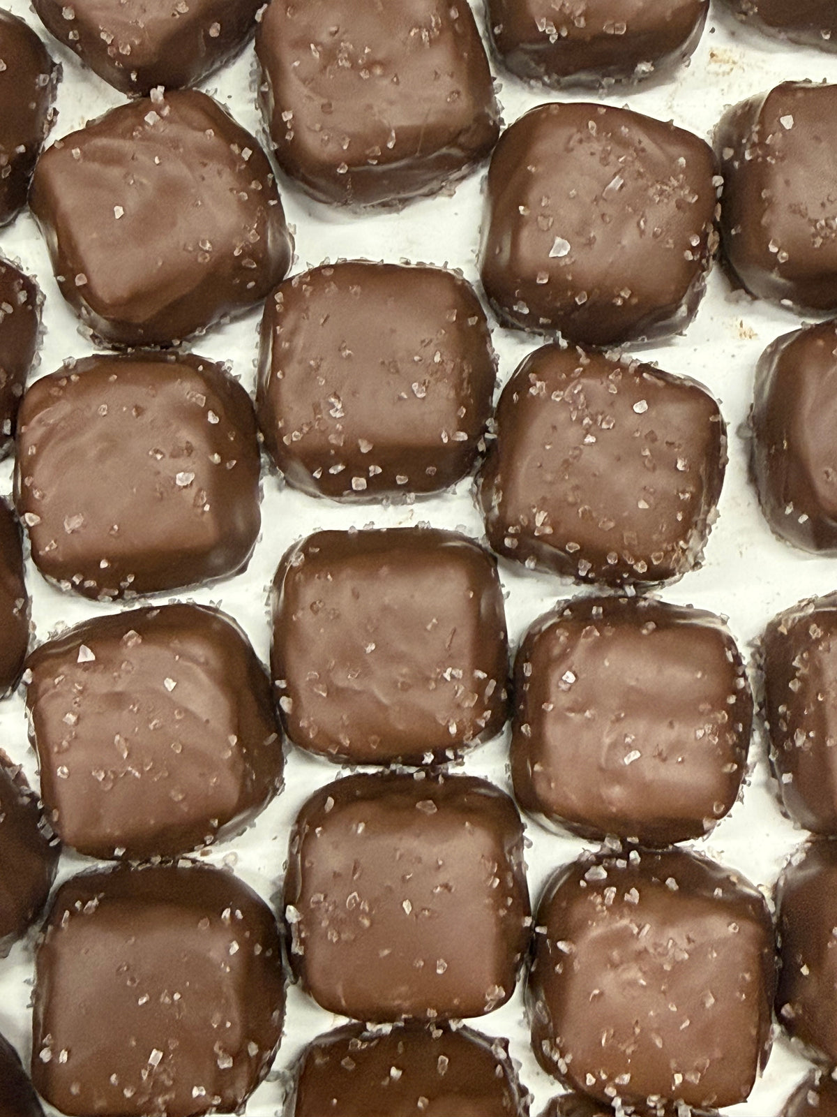 Asher Sugar Free Milk Chocolate Vanilla Caramels with Sea Salt 10 oz Gift Box