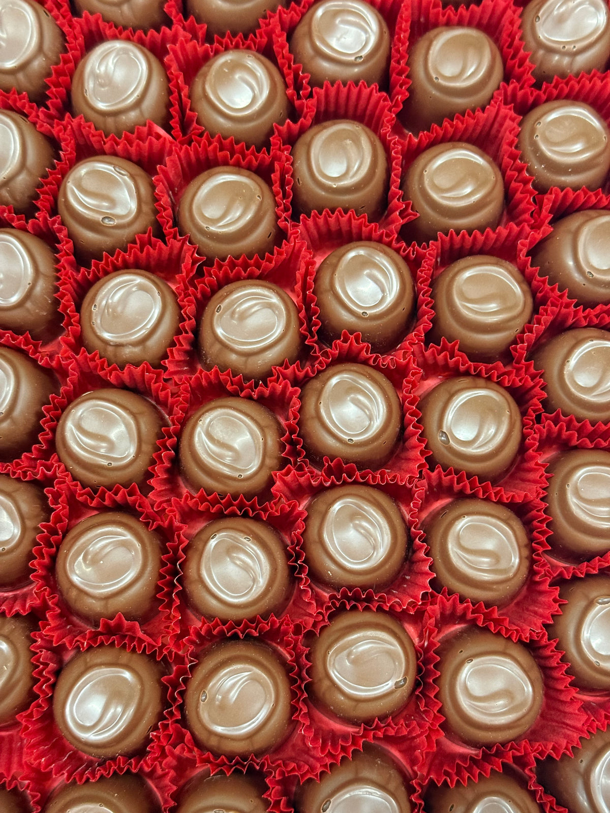Asher Sugar Free Milk Chocolate Cupped Cordial Cherries 9.3 oz Gift Box