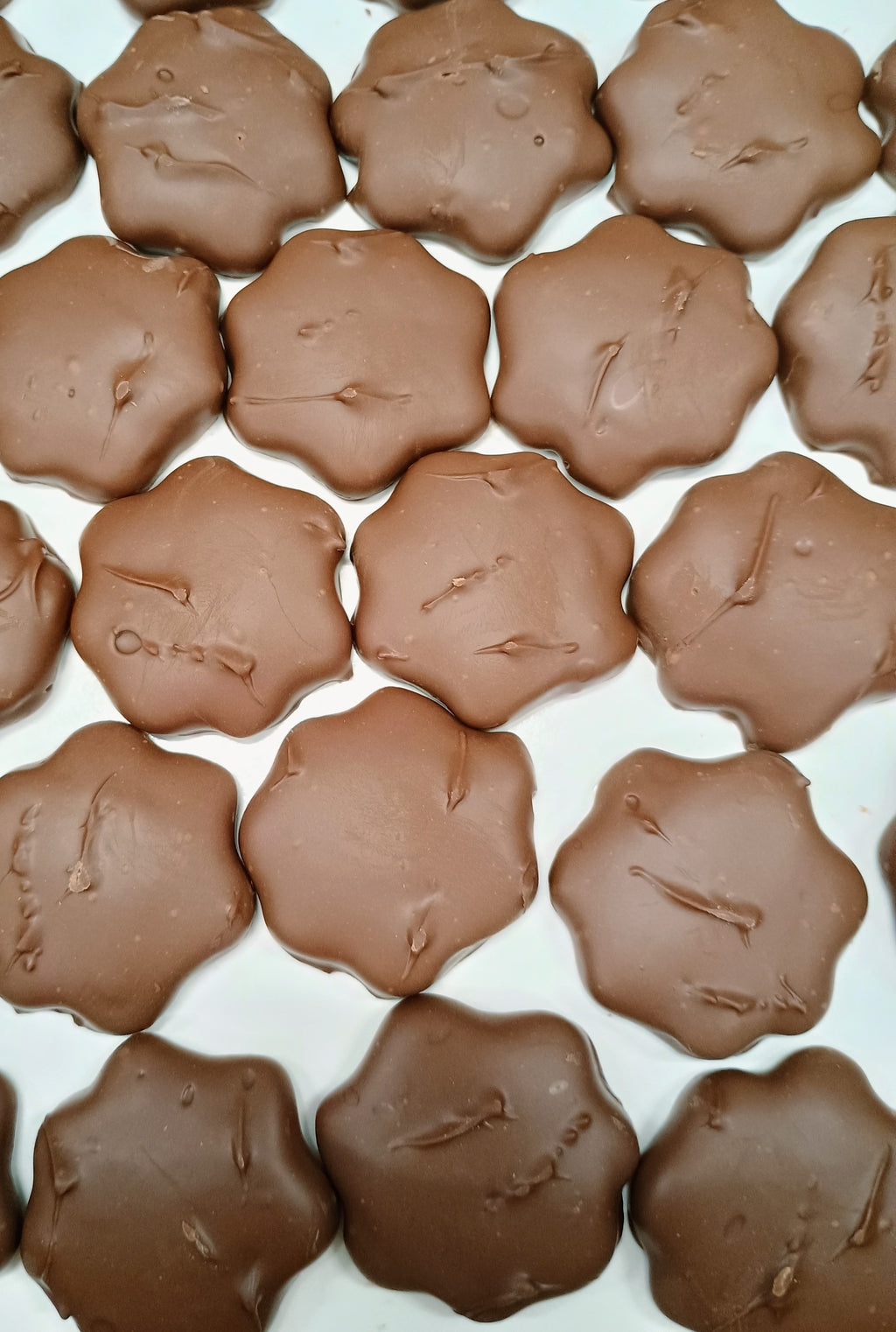 Asher Sugar Free Milk Chocolate Caramel Cashew Patties 10 oz Gift Box
