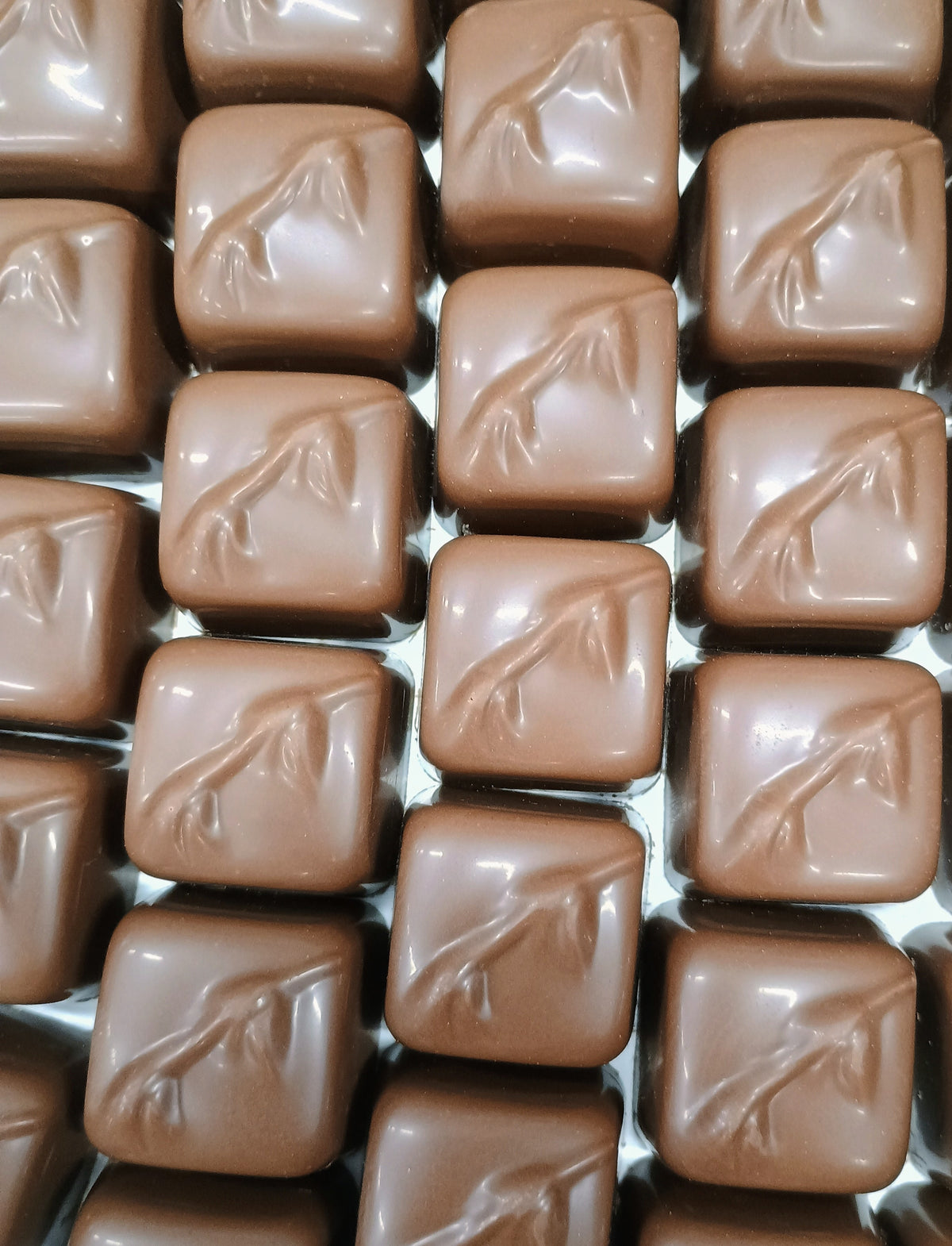 Asher Sugar Free Milk Chocolate Peanut Truffles 10.3 oz Gift Box