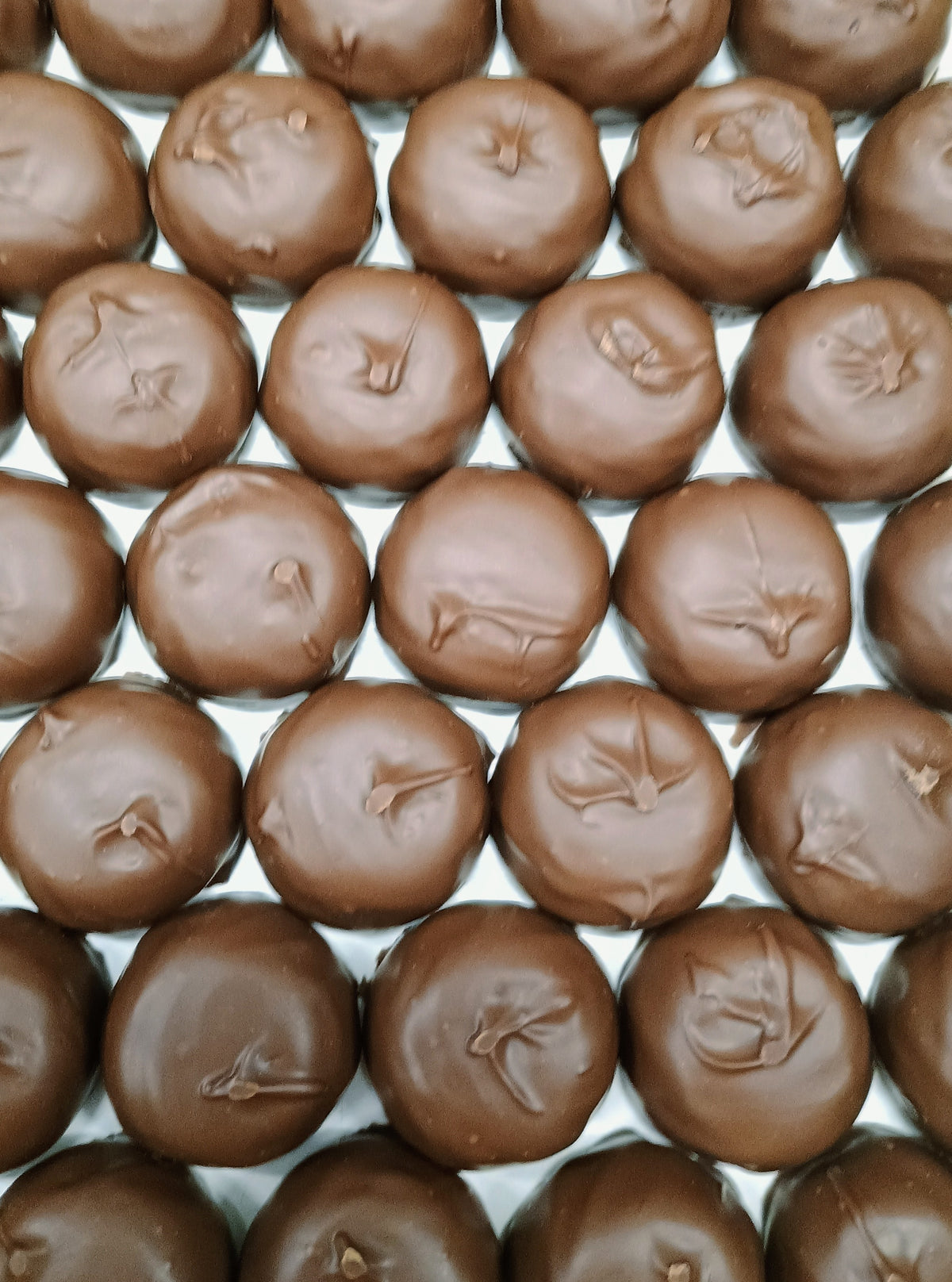 Asher Sugar Free Milk Chocolate Vanilla Marshmallow 8 oz Gift Box