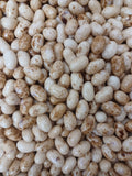 Jelly Belly Toasted Marshmallow Jelly Beans