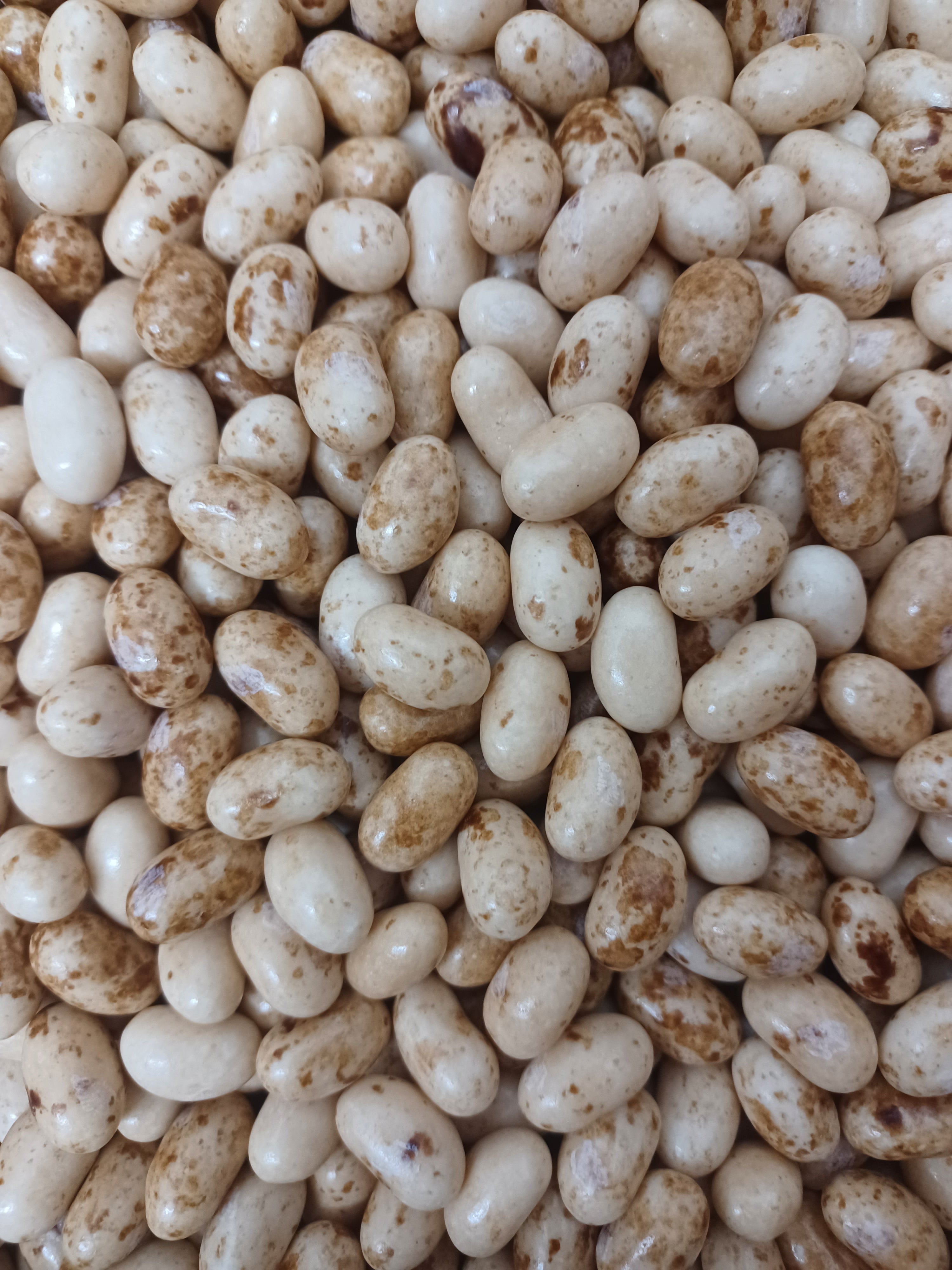 Jelly Belly Toasted Marshmallow Jelly Beans