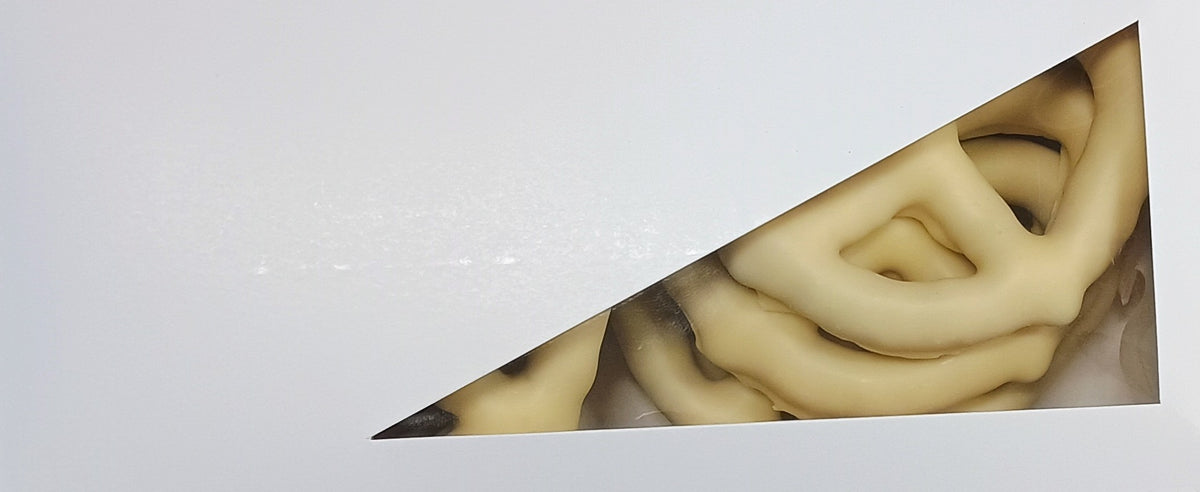 Asher White Chocolate Pretzels 8 Count Gift Box